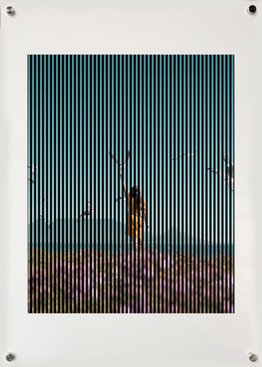 Birds Field-  cadre alu plexi 50x70 cm