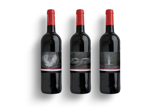 Collection A : l’Origine