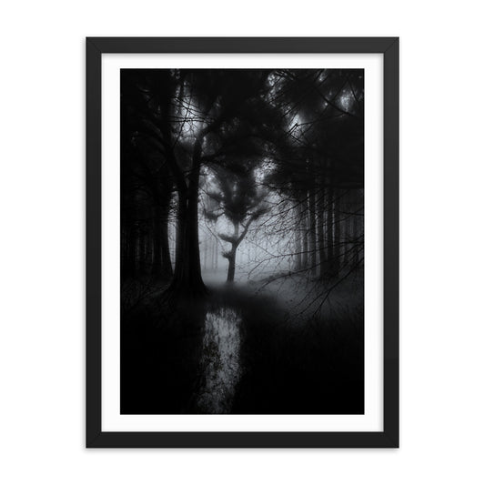 Affiche Encadrée Kiss in the wood: Tableau Effet d'Optique - Visages Dissimulés dans une Forêt Sombre